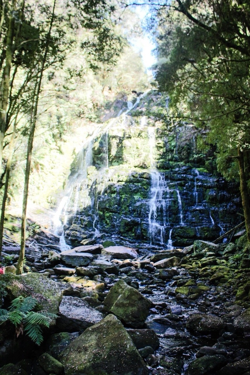 Australien - Franklin - Nelson Falls