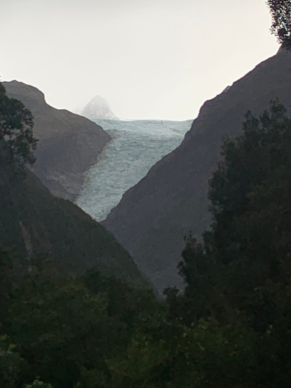 Neuseeland - Fox Glacier - Fox glacier 