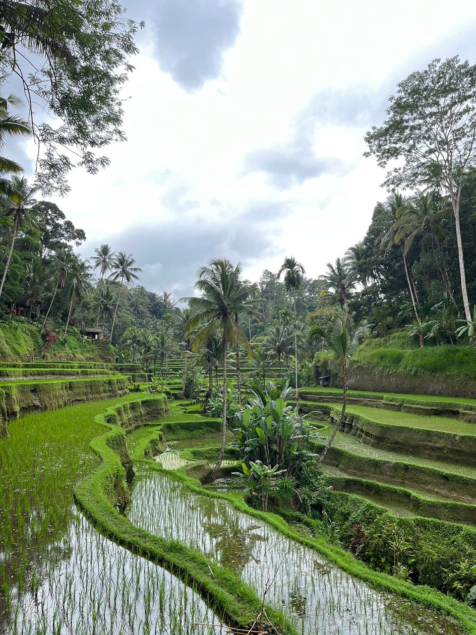 Indonesien - Gianyar - 