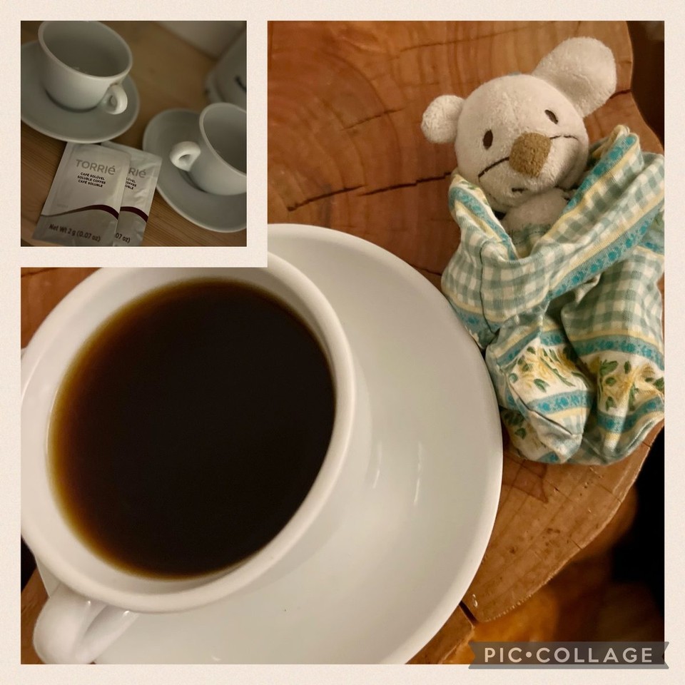 Portugal - Odeceixe - Noch nicht wirklich wach. 