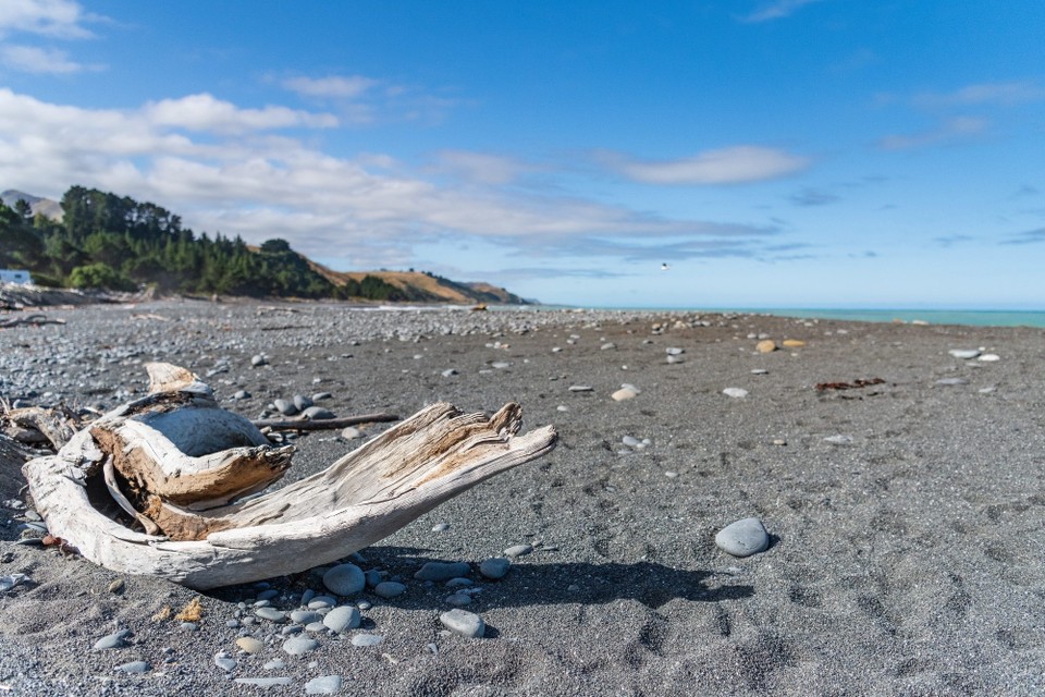 Neuseeland - Kaikoura Central - 