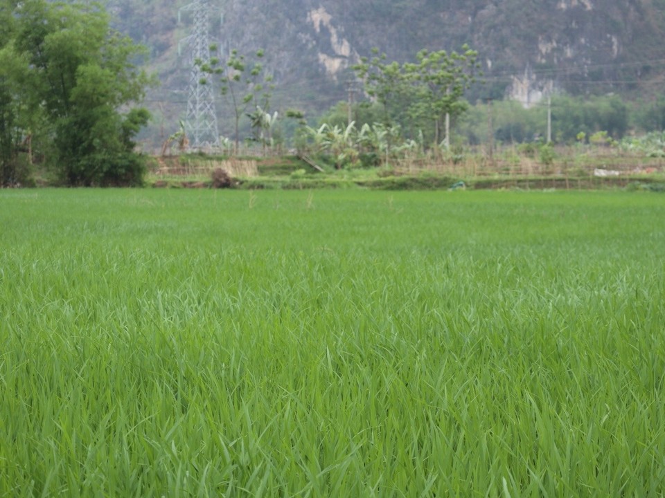Vietnam - H. Mai Châu - 