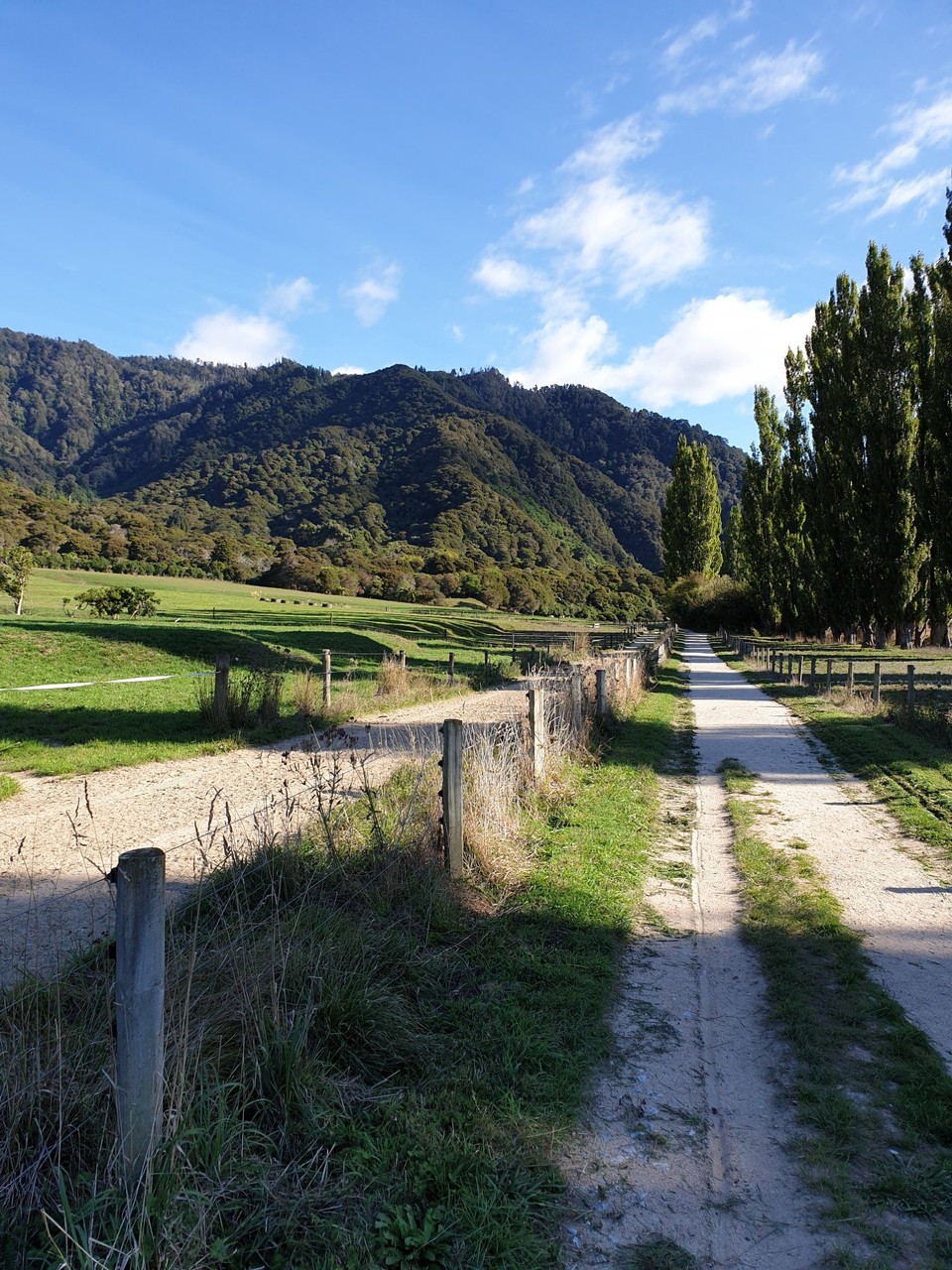 Neuseeland - Mapua - 