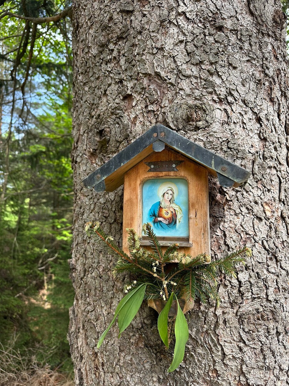 Deutschland - Mittenwald - 