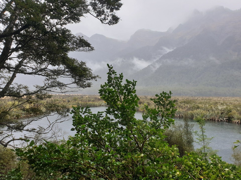 Neuseeland - Te Anau - 