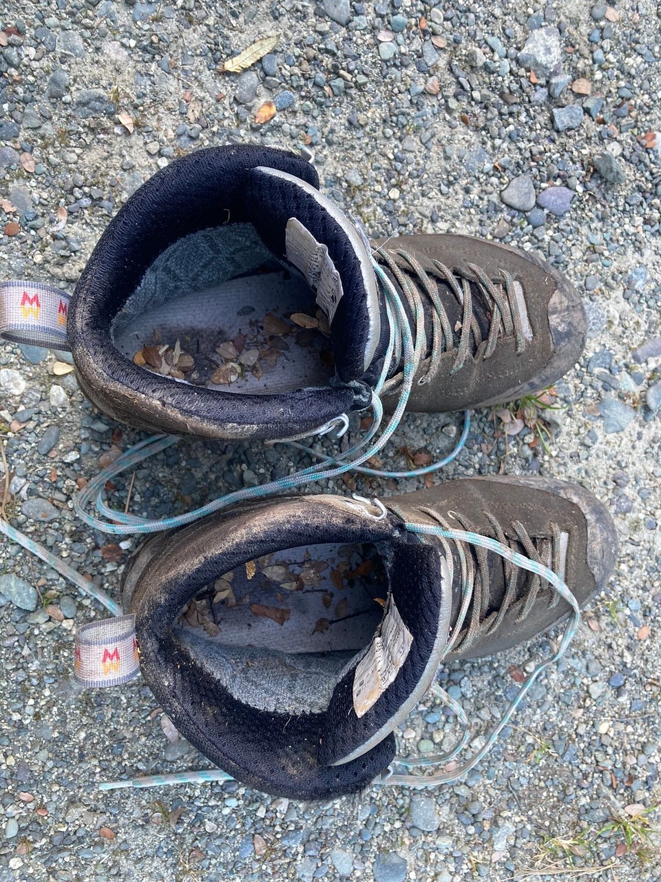 Neuseeland - Fiordland National Park - Zurück am Parkplatz erstmal Schuhe ausleeren, der halbe Wald wollte mit 🤭