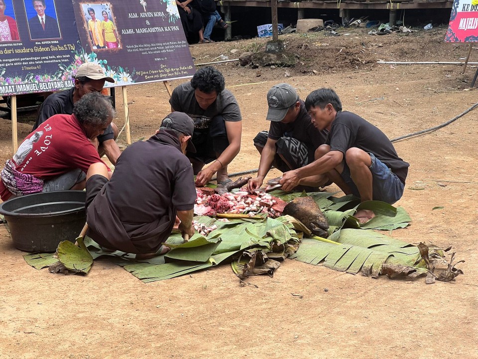 Indonesien - North Toraja Regency - Diese Tiere werden dann sogleich am Festplatz zerlegt. Das Fleisch wird gewürzt und in Bambusrohre gestopft. Über dem Feuer gedünstet.

