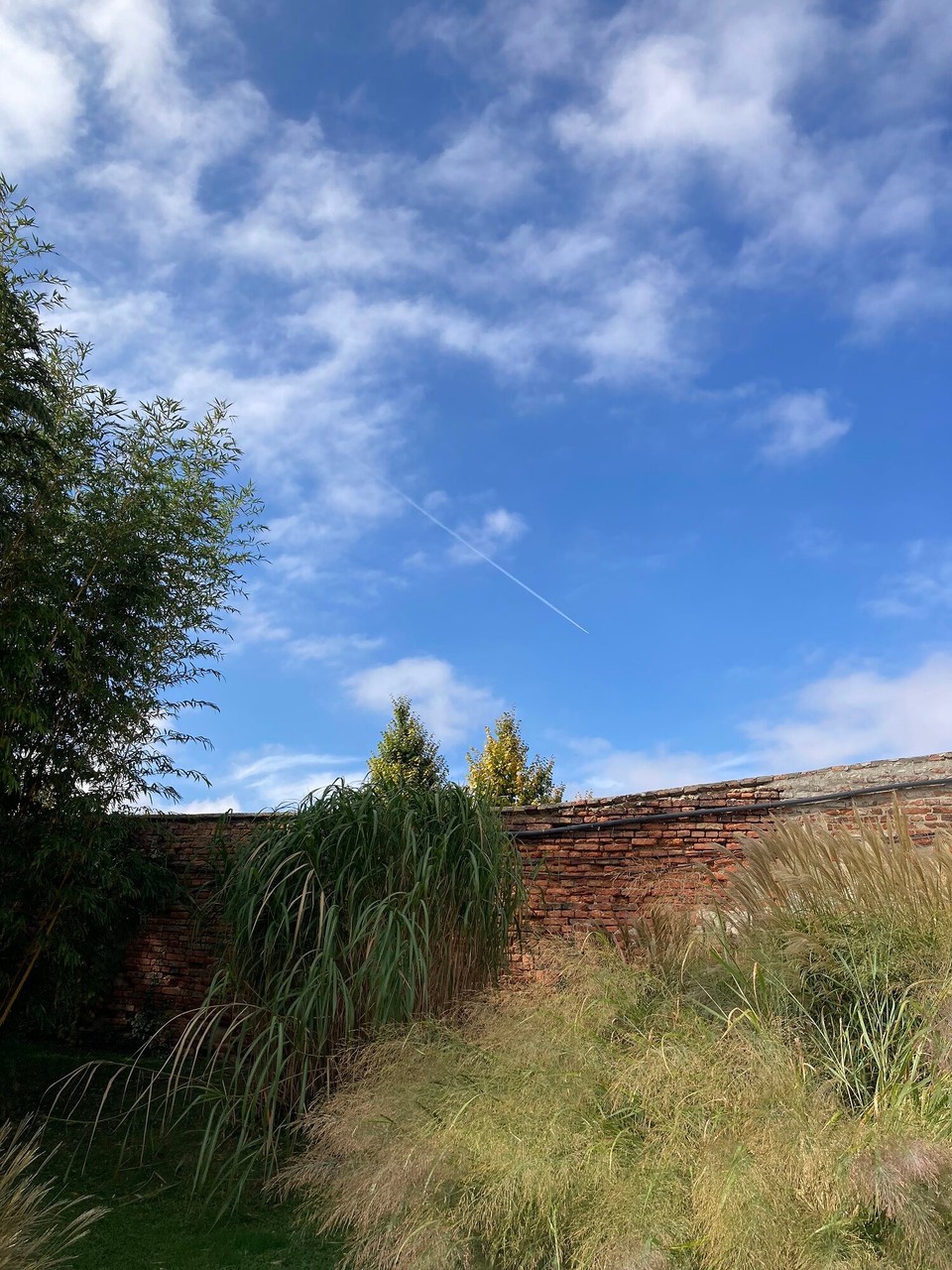 Österreich - Wien - Botanischer Garten 😊