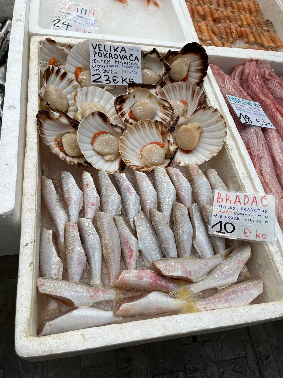 Slowenien - Koper - Markt Koper