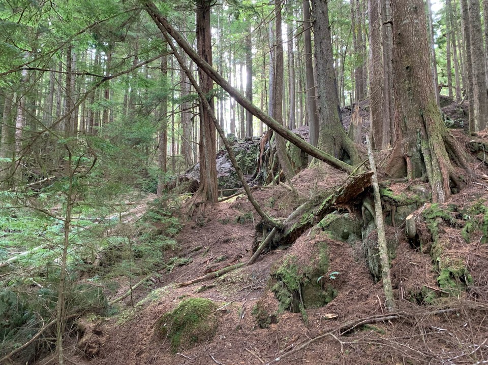 Kanada - Mount Waddington A - 