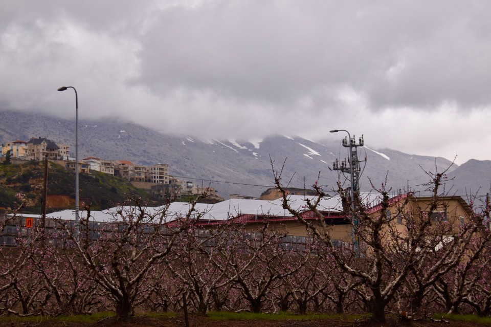 Israel -  - Geschafft, die Schneebedeckten Hügel des Mount Hermon im drei Ländereck zu Syrien und Libanon.