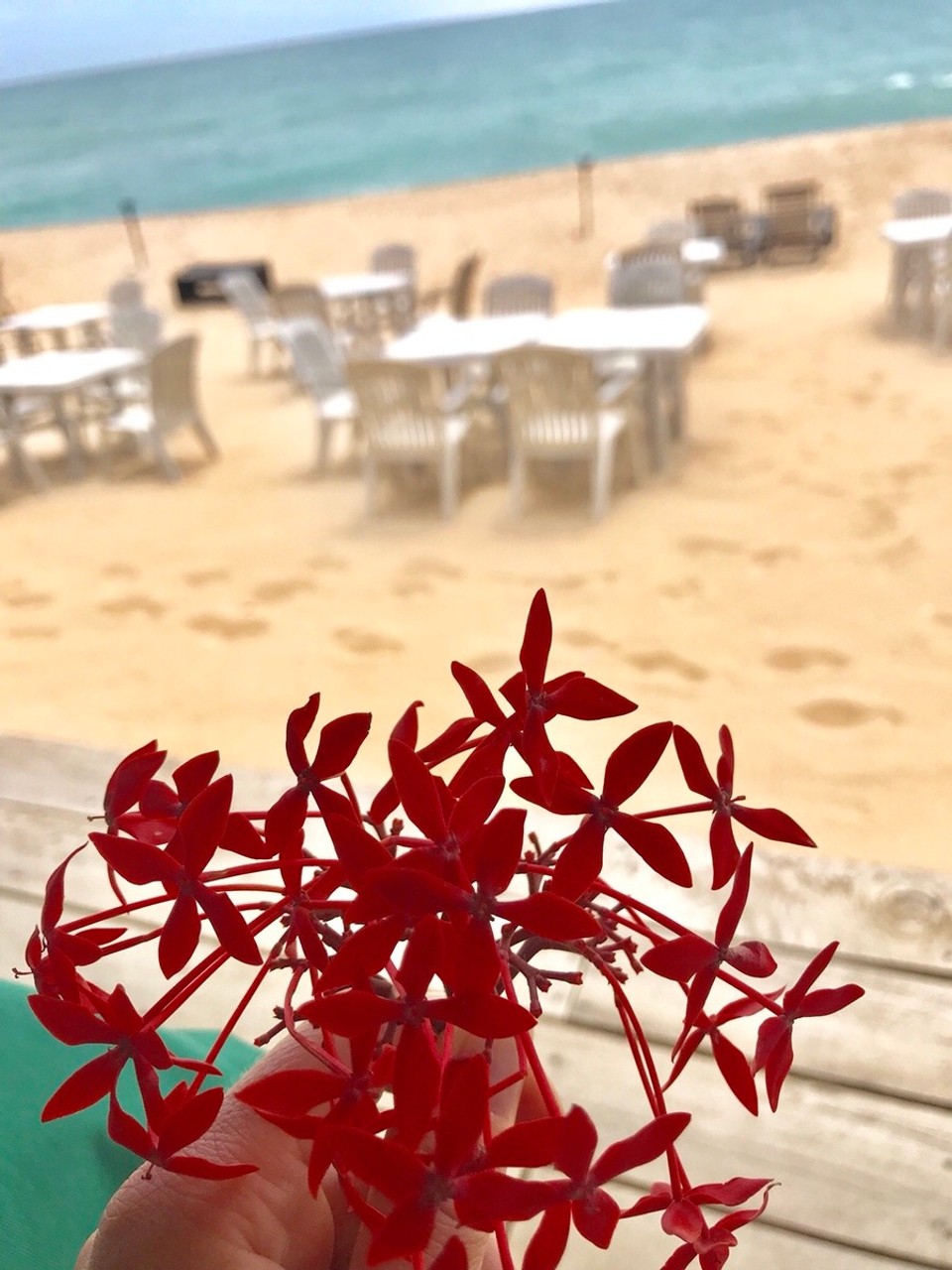 Sri Lanka -  - 