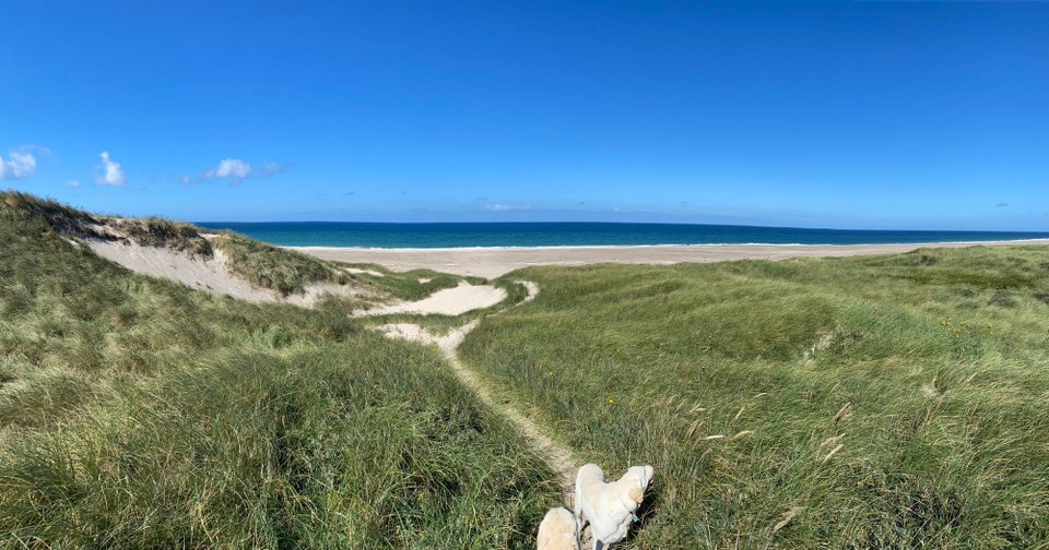 Dänemark - Thisted - Nur 10 min bis zum Menschenleeren Strand. 