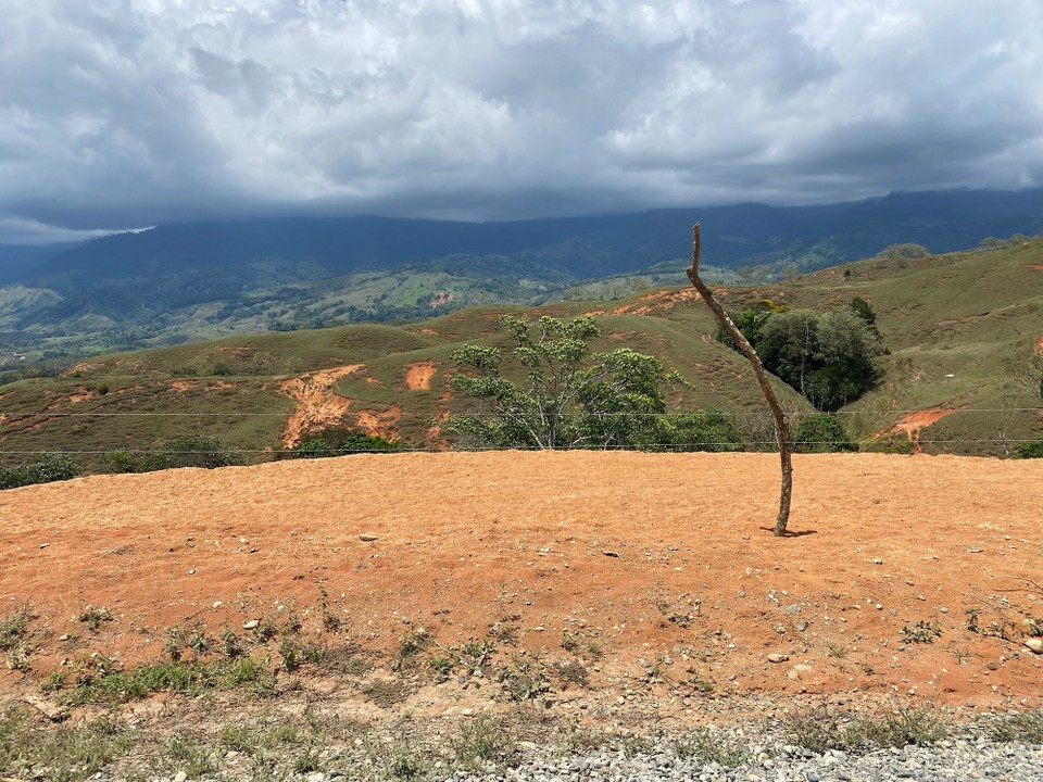 Costa Rica - San José - Nach 3 Std. Autofahrt kommen wir in San José an. Es ist wärmer als das letzte mal. Wir gingen noch baden im Pool und noch Shoppen. Der Tag vergeht schnell. Morgen reisen wir ab! Es ist ein komisches Gefühl. 