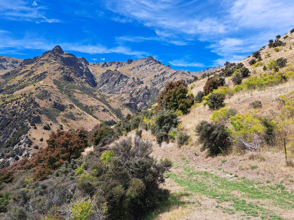 Neuseeland - Wanaka - Es war ein sehr heisser Tag und 