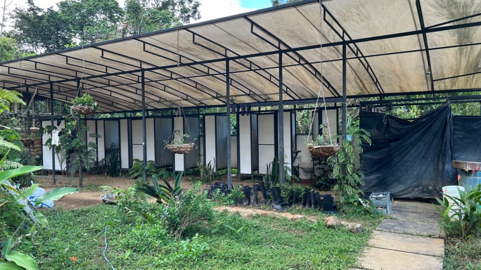 Costa Rica - Nationalpark Corcovado - 