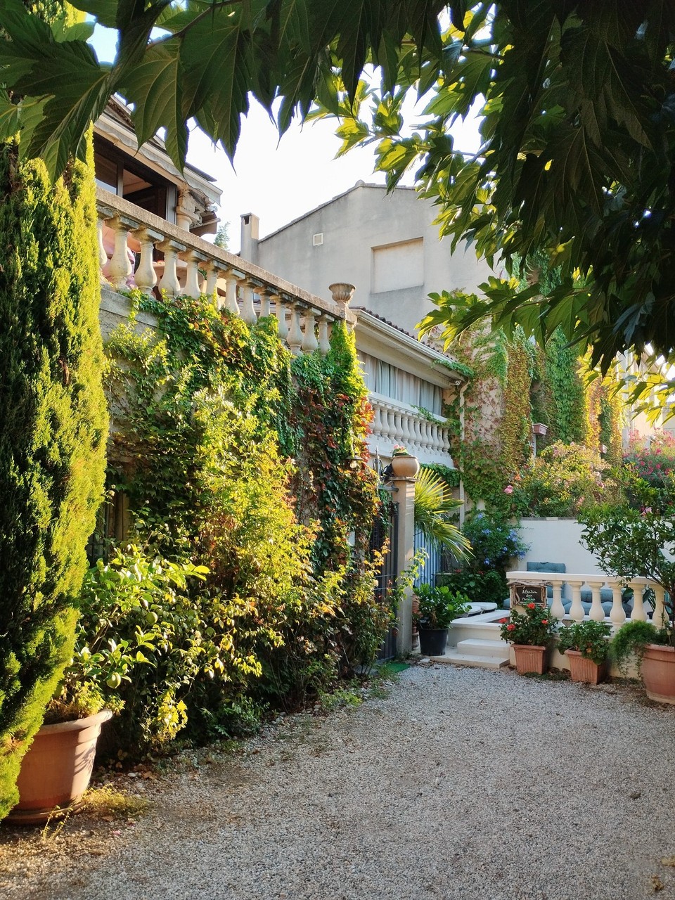 Frankreich - Avignon - Heute morgen, die Hauswand von unserem Domizil 🤩