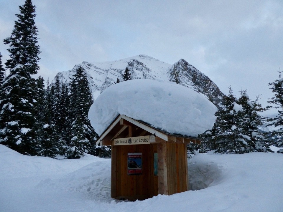Canada - Banff - SO much snow