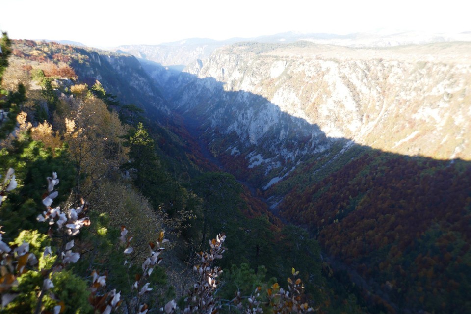 Montenegro - Ćurevac - 