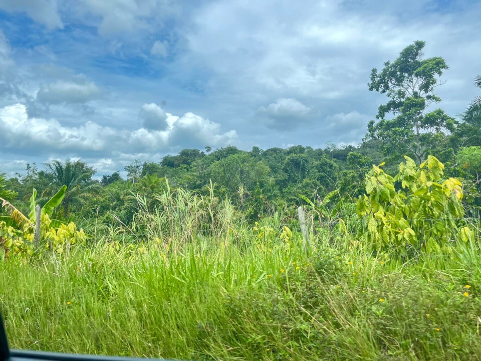 Brasilien - Salvador - Landschaft in Brasilien