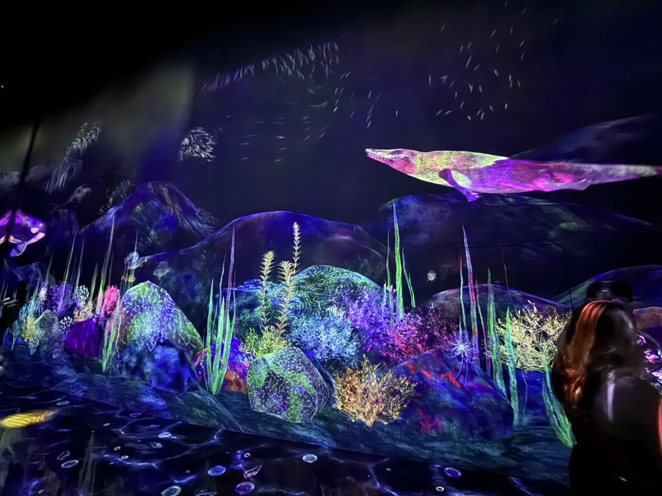 Japan - Chiyoda - Im Meer