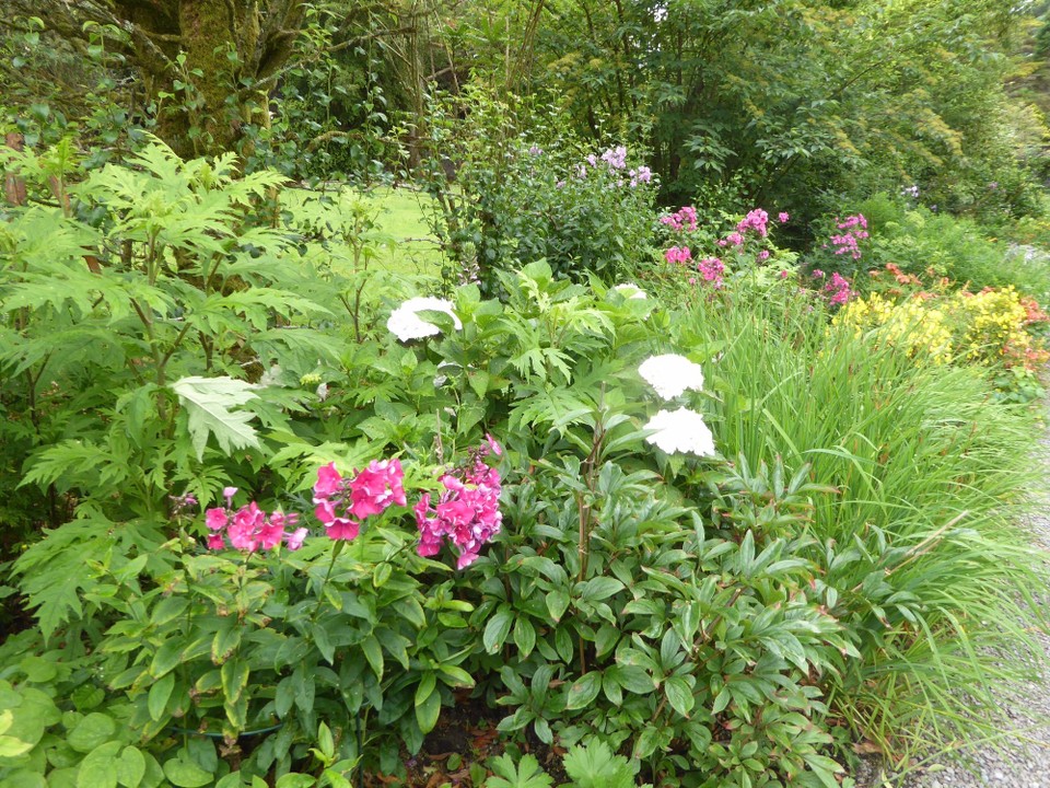 Ireland - Glengarriff - The walled garden.