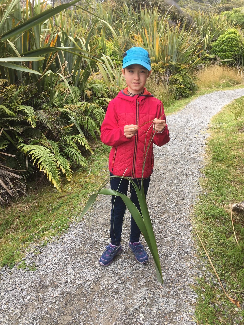 Neuseeland - Haast - 