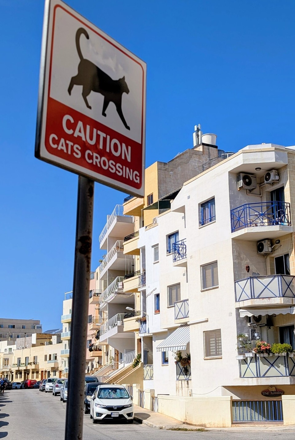 Malta - Marsaskala - Achtung! Katzen überqueren die Straße.