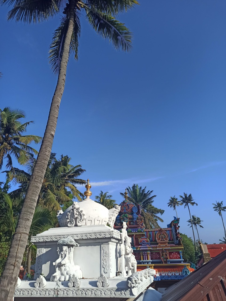 Indien - Varkala - In den Tempel darf ich als Nicht-Hindu nicht rein, deshalb Spitze ich von oben rein. Hihi😄