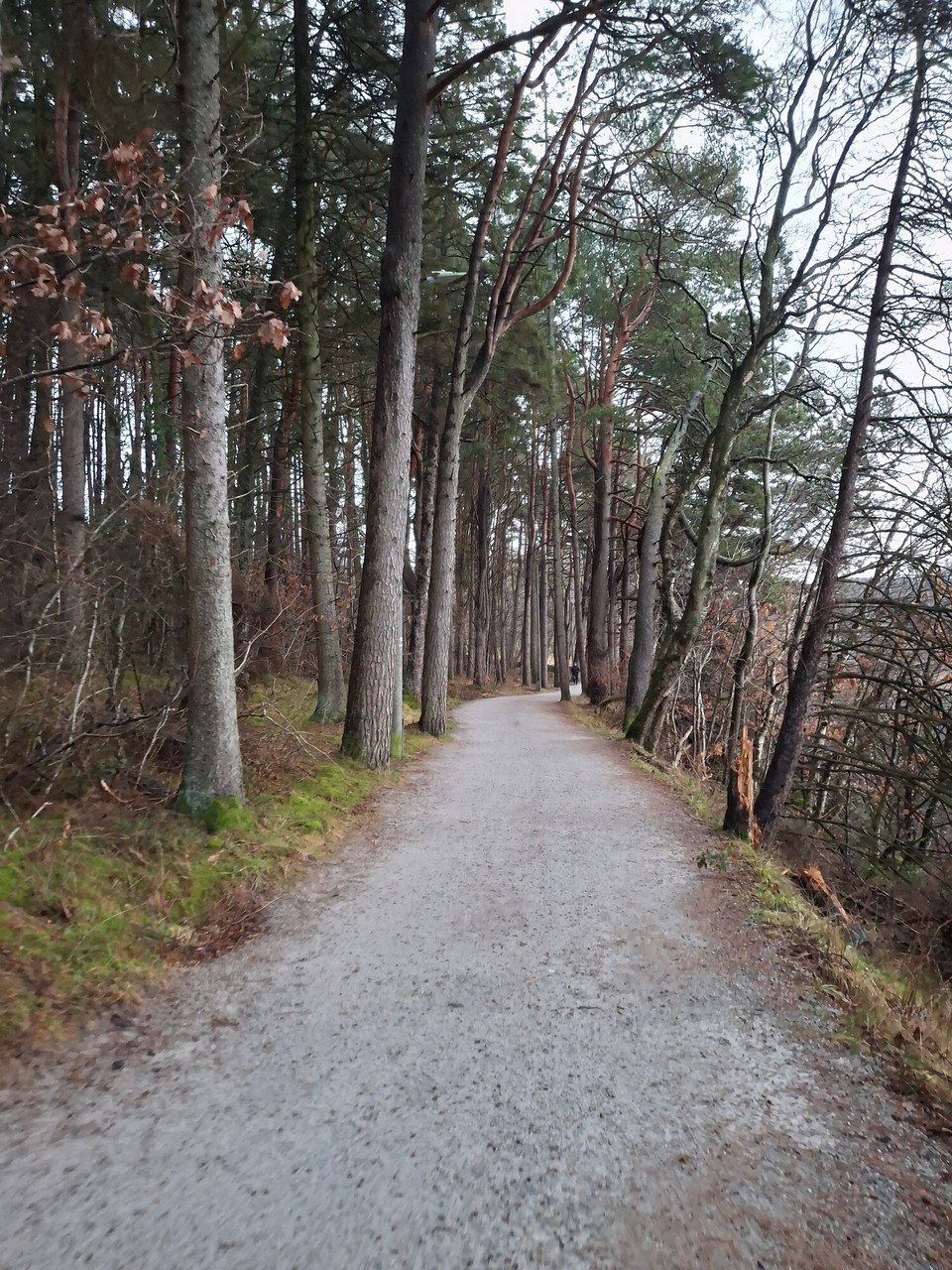 Norwegen - Stavanger - 