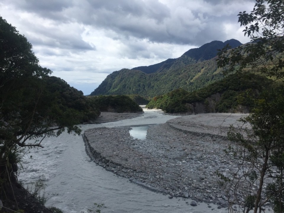 Neuseeland - Fox Glacier - 