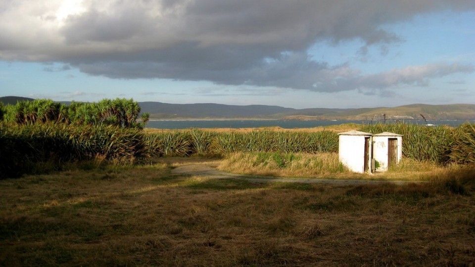 Neuseeland - Catlins - 