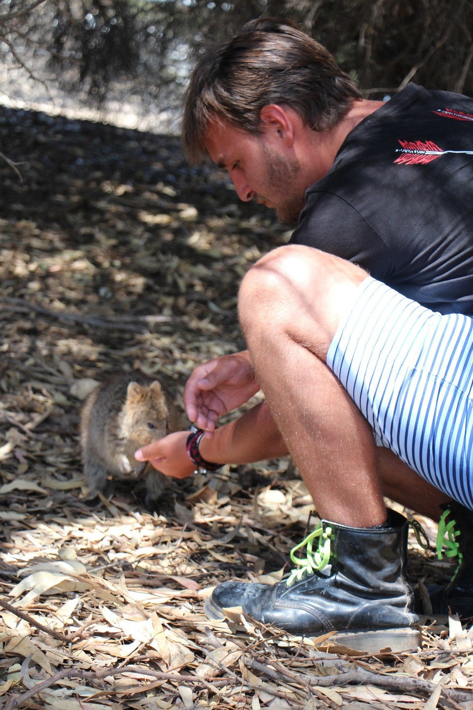 Australien - Rottnest Island - 