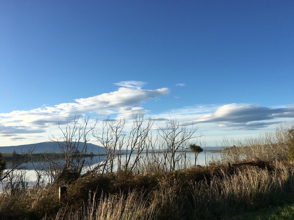 New Zealand - Dunedin - 