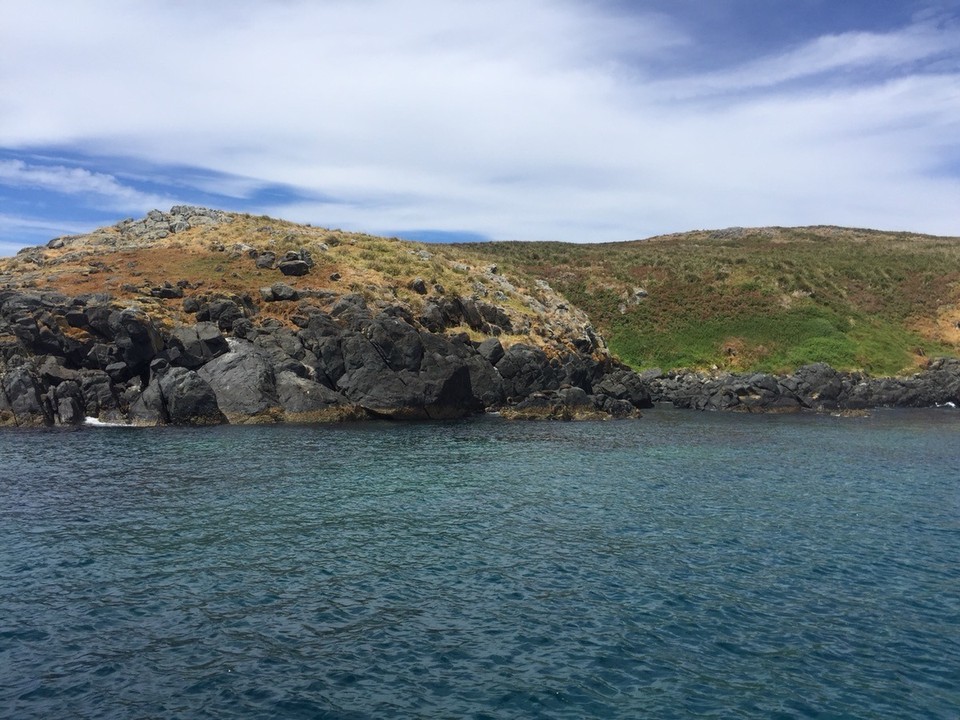 Australia - Montague Island - 