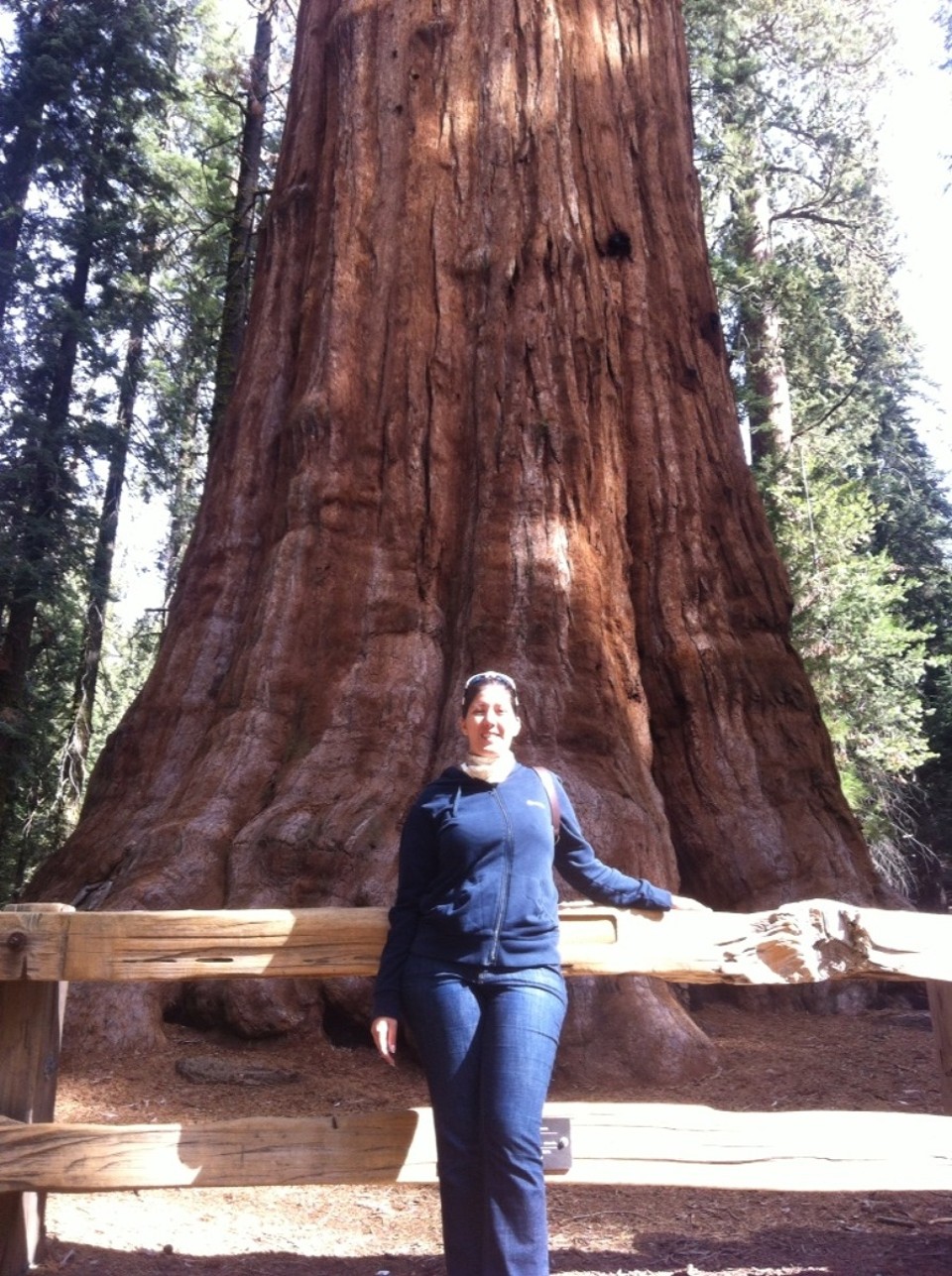 Egyesült Államok - Sequoia National Park - 