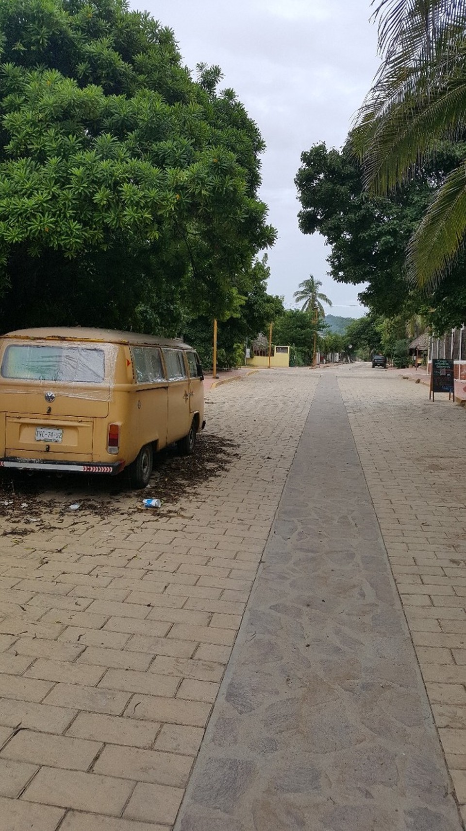 Mexiko - unbekannt - Wir haben die nächsten 3 Tage in Zipolite verbracht.  Tagsüber war es ein recht verschlafener Ort. Erst gegen Abend wurde es richtig lebendig. Wir übernachteten in einem Hostel, welches von Julien und Julia - einem französischen Ehepaar - geführt wurde.  Und das ganz ohne Skorpione und anderen lieben
Tierchen. 😉
