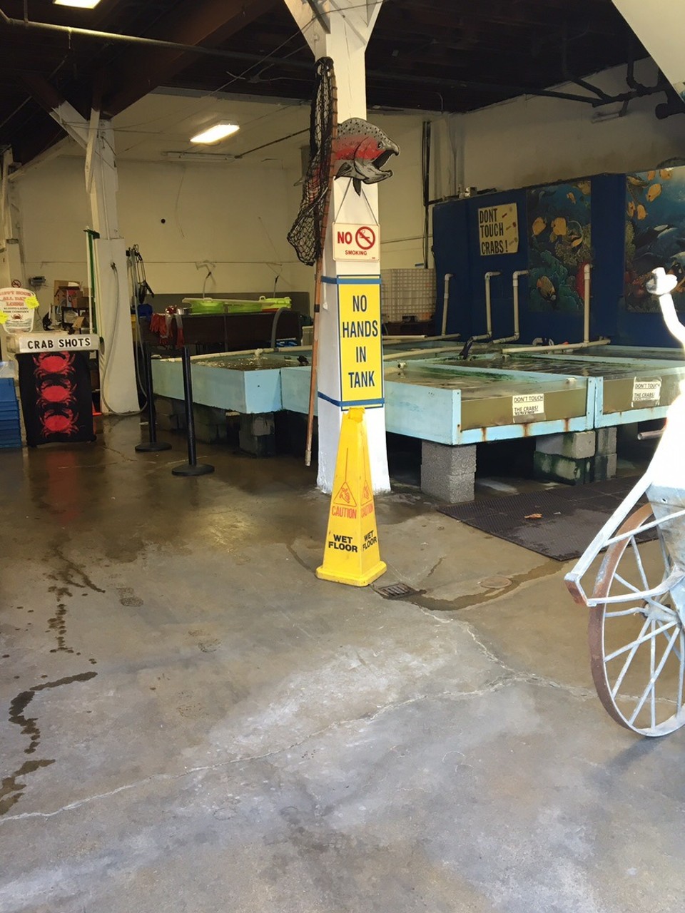  - San Francisco, California, Estats Units - 