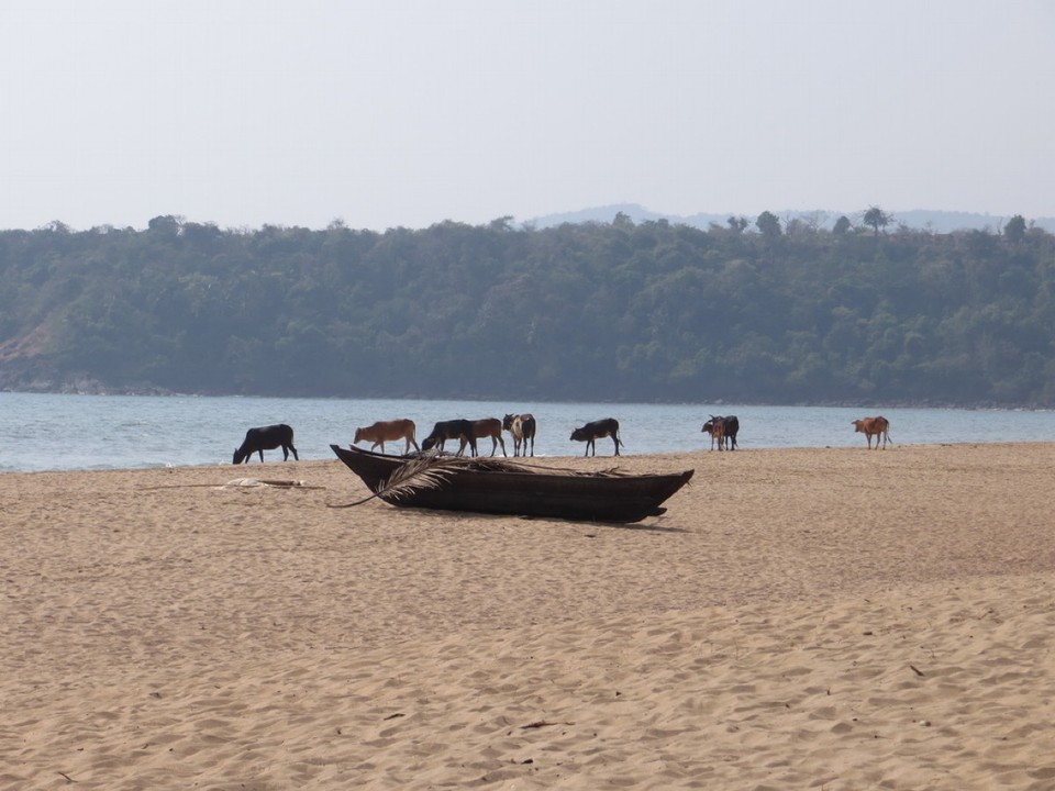 Indien - Agonda - 