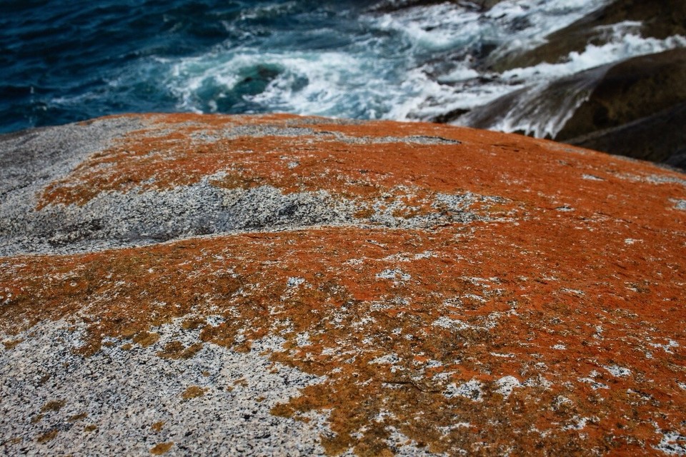 Australien -  - 