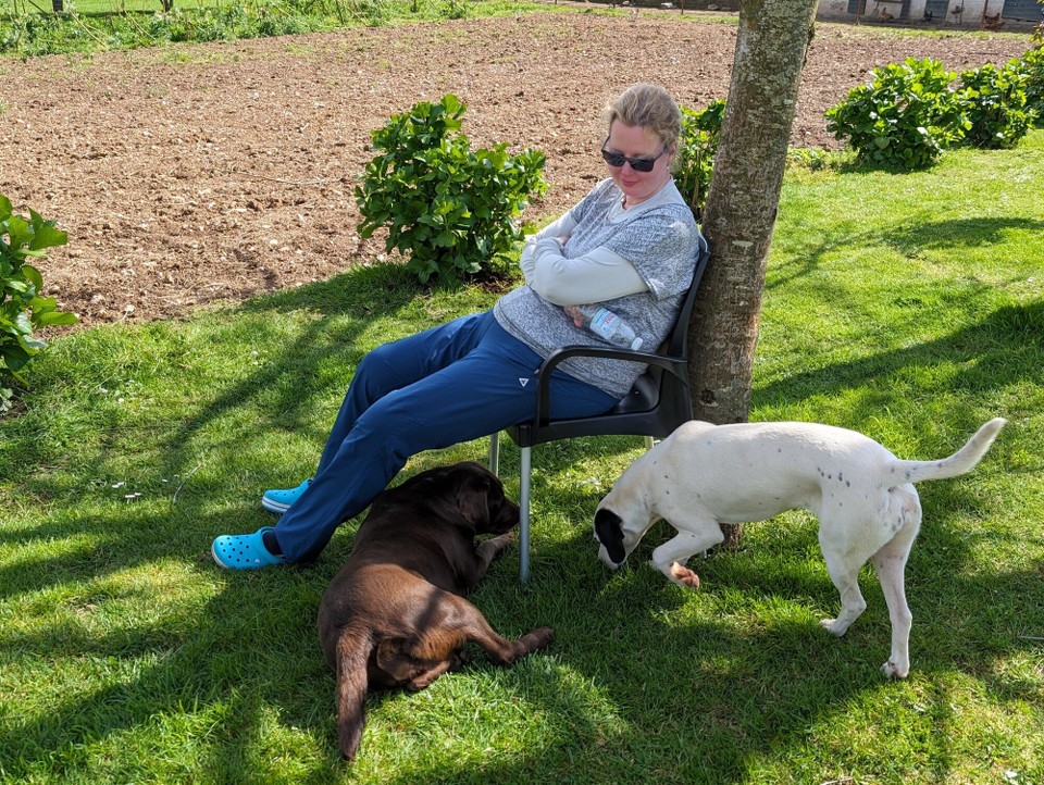 Spanien - Arzúa - Hier wohnen Hühner, Schafe und 5 Hunde.