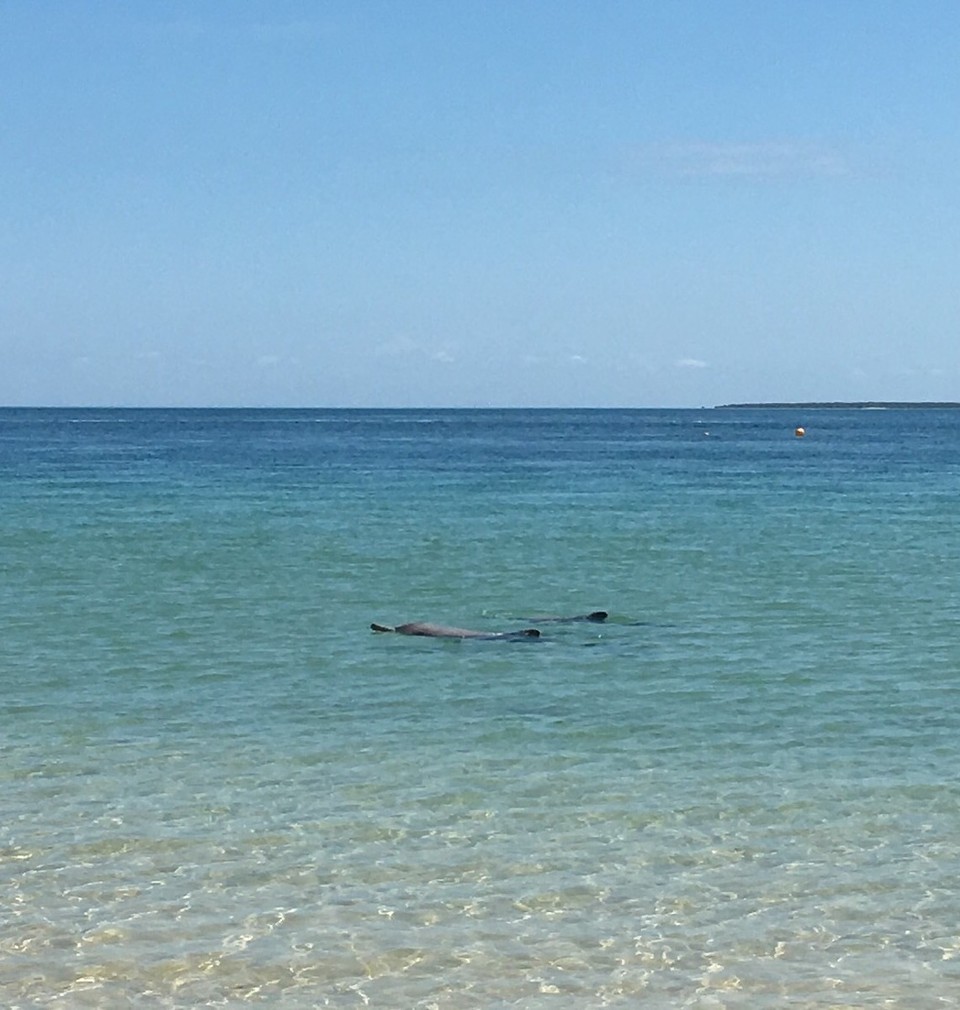 Ausztrália - North Stradbroke Island - 