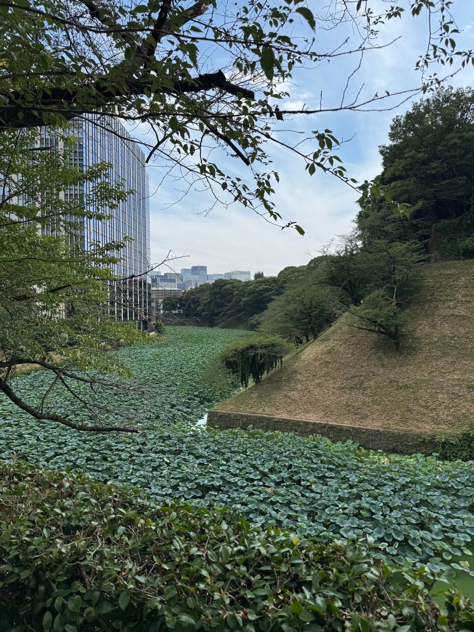 Japan - Chiyoda - Burggraben