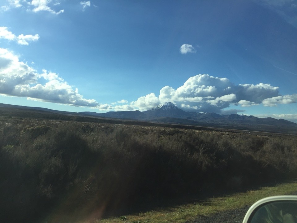  - Neuseeland, Kaimanawa Forest Park, Kaimanawa Road Campsite - 