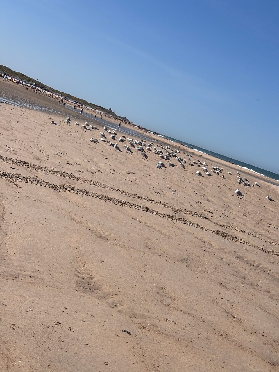 Niederlande - Oostkapelle - 