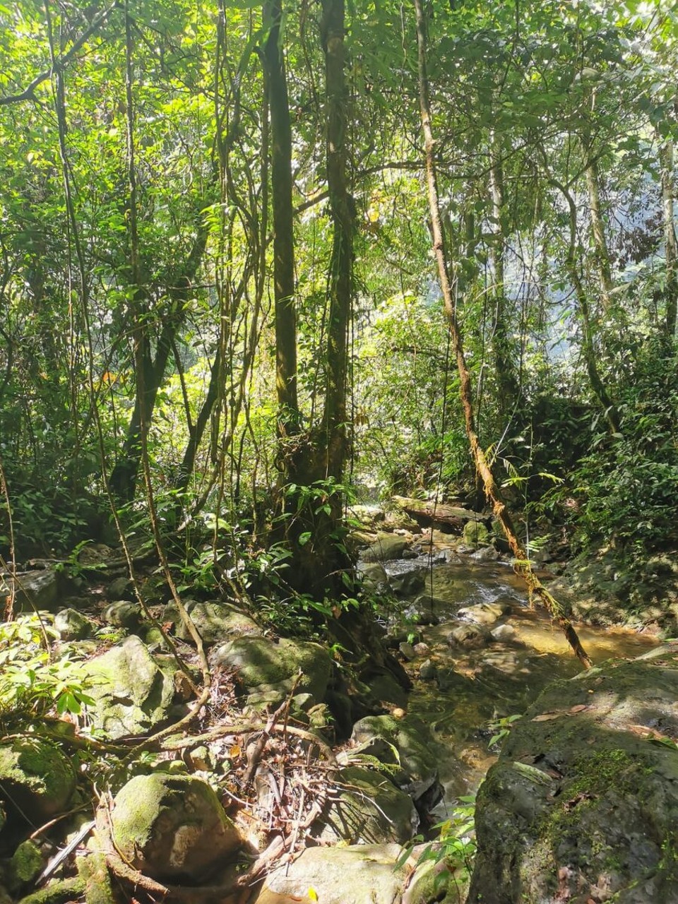 Indonesien - Kabupaten Aceh Tenggara - 