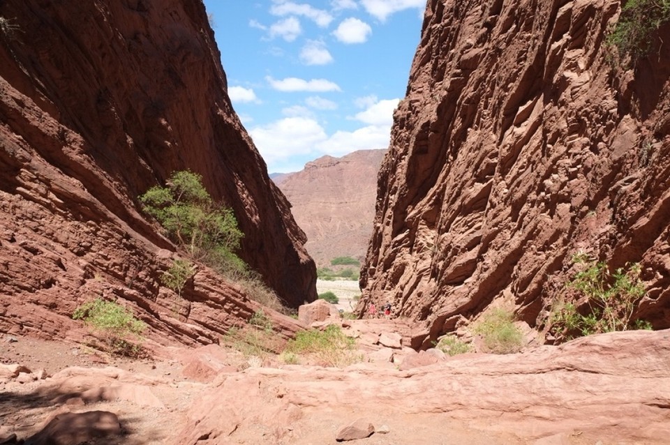 Argentinien - Cafayate - 