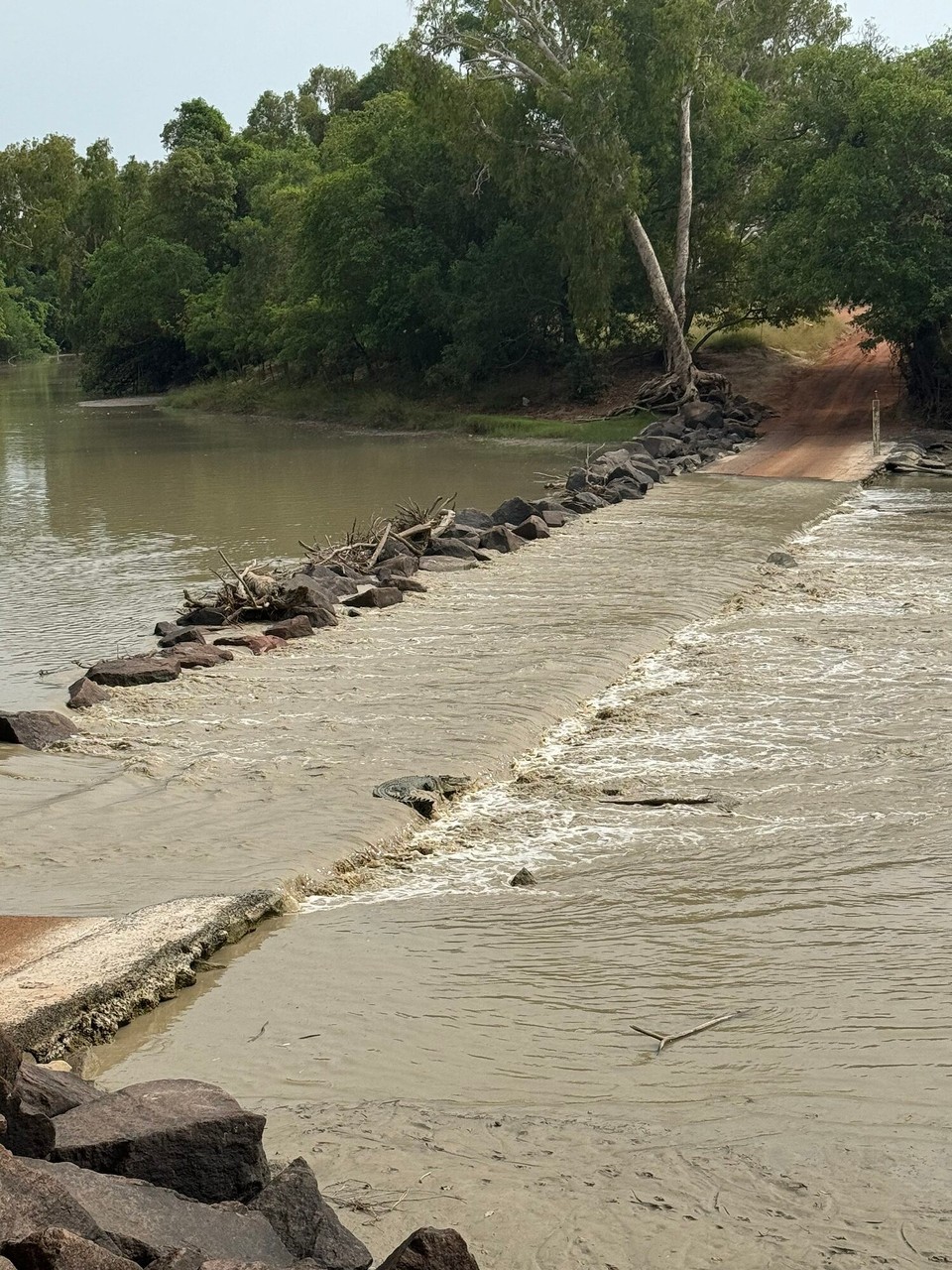 Australien - Kakadu - 