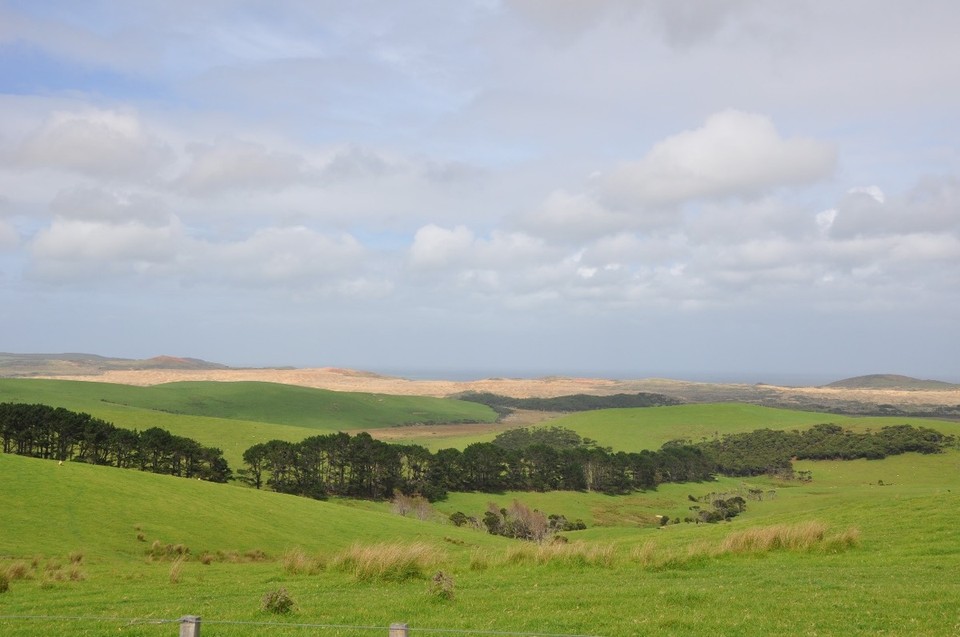 Neuseeland - Mangonui - 
