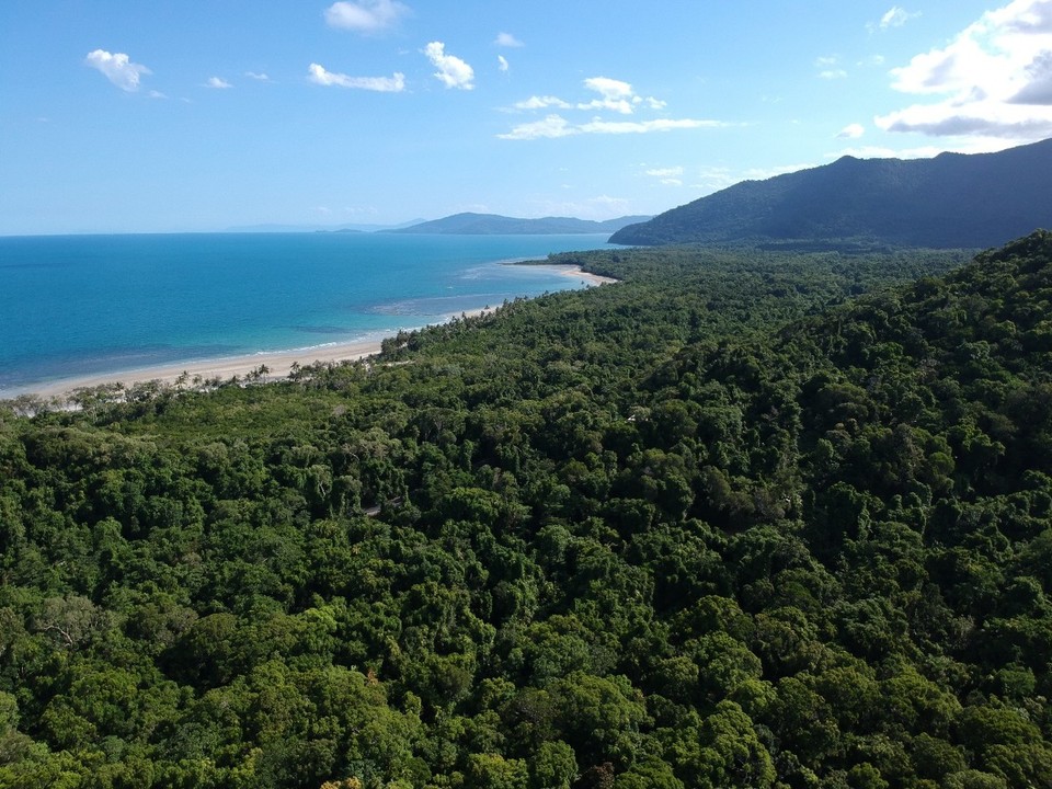 Australien - Cape Tribulation - 